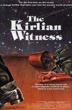 The Kirlian Witness movie