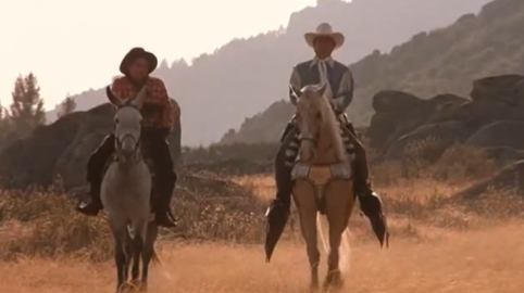 Rustlers' Rhapsody Sunset Rustlers’ Rhapsody (1985) - FilmFanatic.org